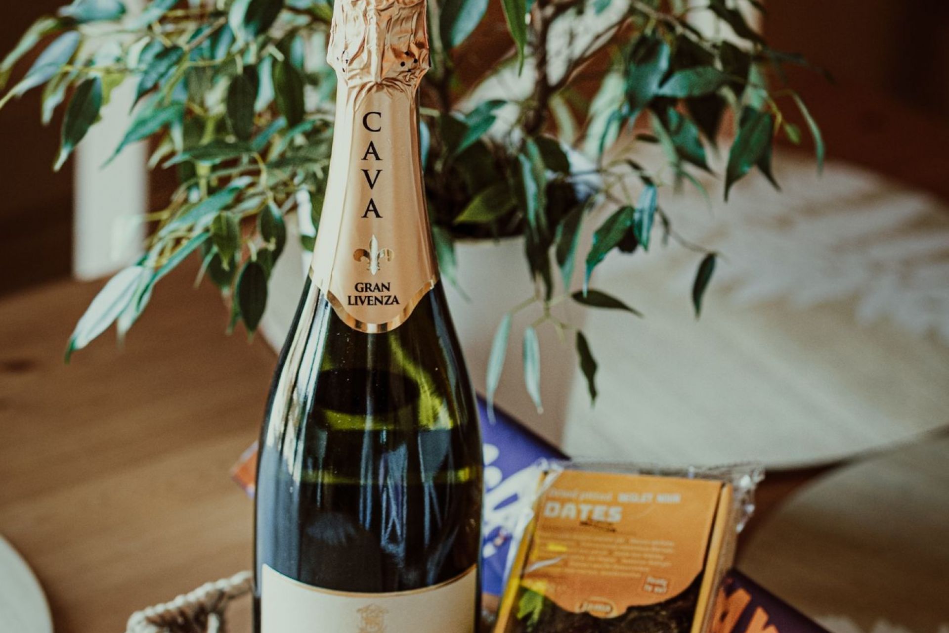 Apartament Kameralny III